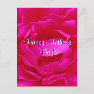 Carte Postale Bonne fête des mères Rose rose