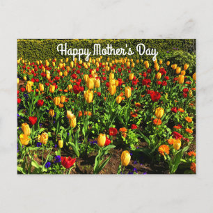 Carte Postale Bonne fête des mères Rouges et Tulipes Jaunes#1 Ca