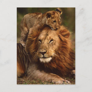 Carte Postale Bonne Fête des pères Daddy Lion et Lion Cub
