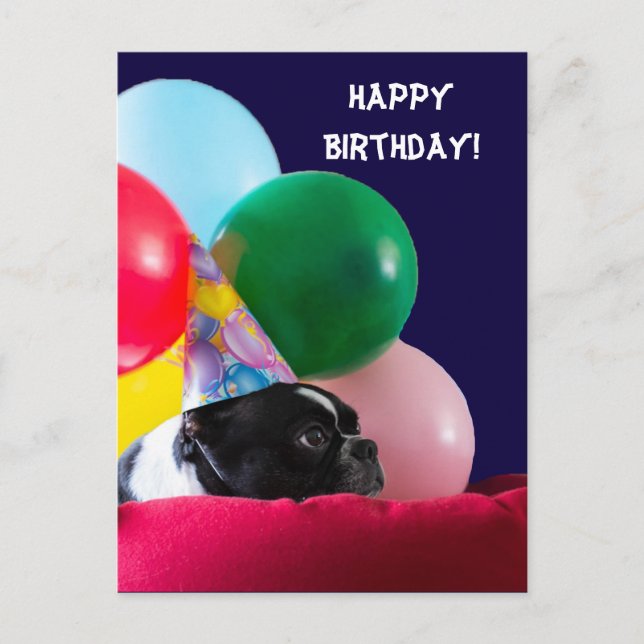 Carte Postale Bonne humeur de chien d'anniversaire avec des ball (Devant)