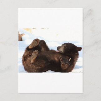 Carte Postale Bonne journée à la BIÈRE ! ! !