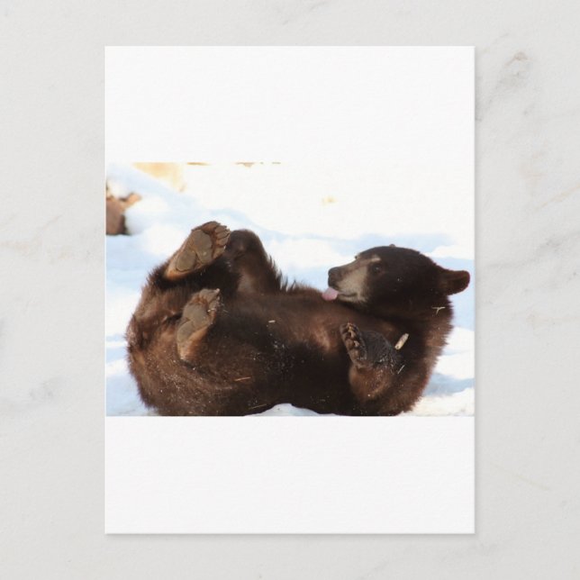 Carte Postale Bonne journée à la BIÈRE ! ! ! (Devant)