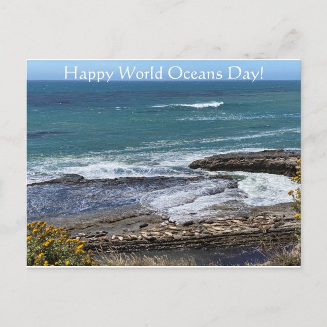 Carte Postale Bonne Journée mondiale des océans ! (Devant)