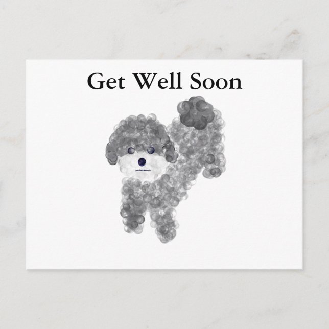Carte postale Bonne récupération Poodle gris #1 (Devant)