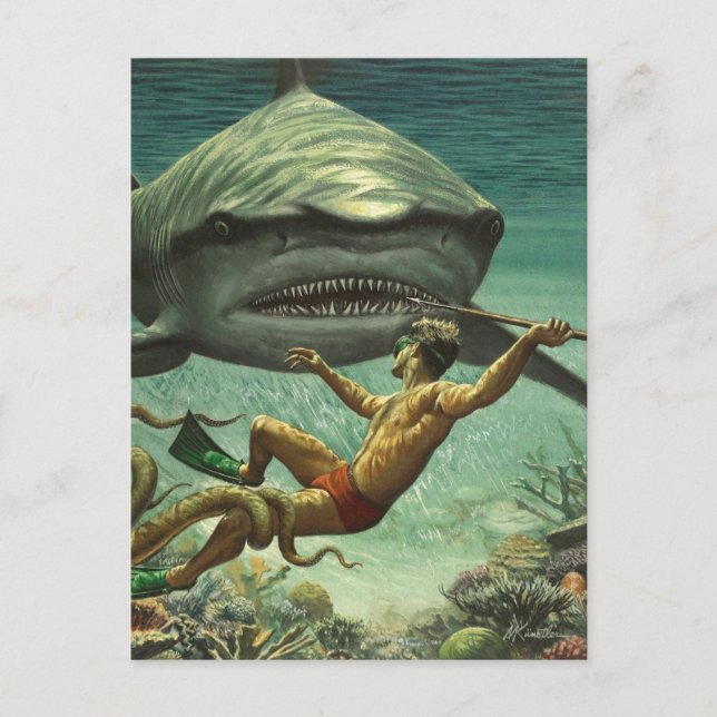 Carte Postale Bonne Semaine du requin (Devant)