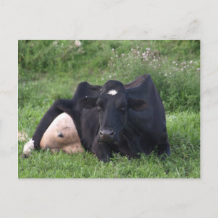 Carte Postale Bonne WI d'amorçage