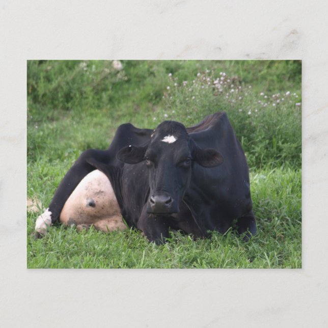 Carte Postale Bonne WI d'amorçage (Devant)