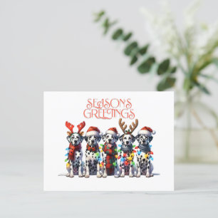 Carte postale Bonnes Fêtes