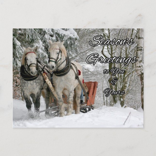 Carte Postale Bonnes Fêtes Chevaux d'hiver (Devant)