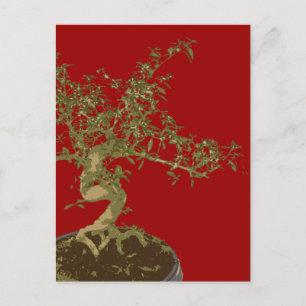 Carte Postale Bonsai