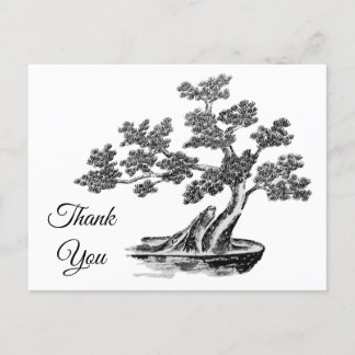 Carte Postale Bonsai - Style chinois - noir et blanc