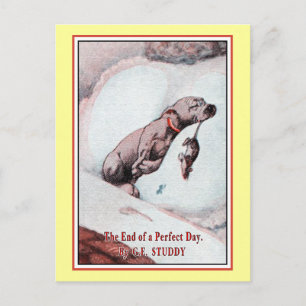 Carte Postale "Bonzo le chien" dans "Fin de journée"