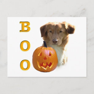 Carte Postale Boo à canard de la Nouvelle-Écosse