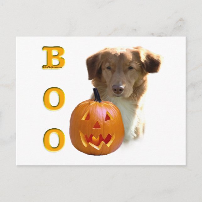 Carte Postale Boo à canard de la Nouvelle-Écosse (Devant)