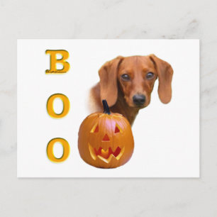 Carte Postale Boo Dachshund (lisse)