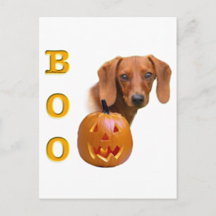 Carte Postale Boo Dachshund lisse