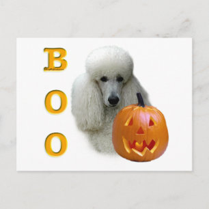 Carte Postale Boo de caniche (revêtement blanc)