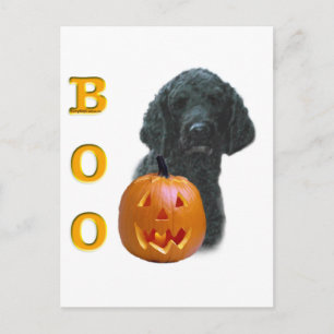 Carte Postale Boo de caniche (revêtement noir)