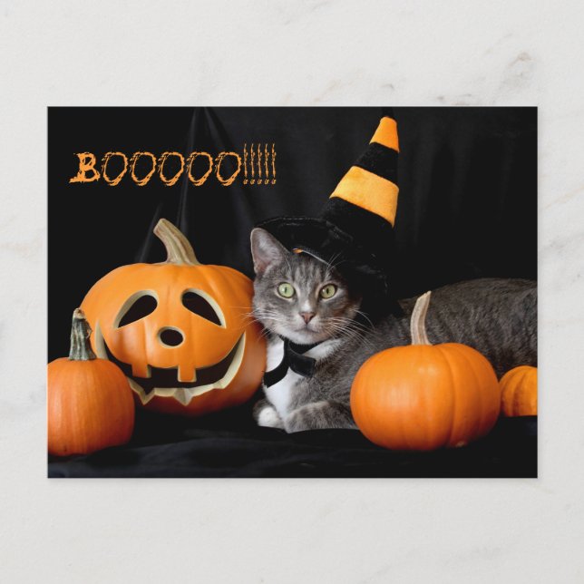 Carte postale Boo Halloween avec chat (Devant)