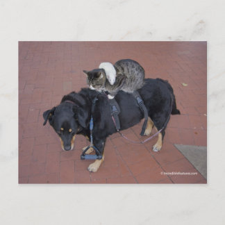 Carte Postale Booger, Kitty et Mousey sur State Street