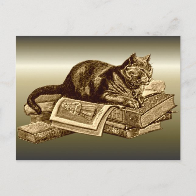 Carte Postale Books Kitty Cat Lecture (Devant)