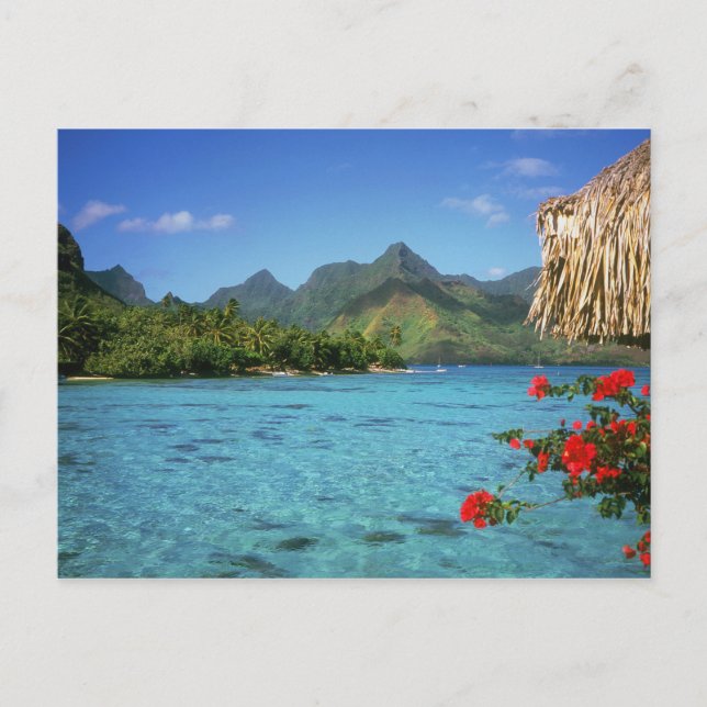 Carte Postale Bora Bora Island, Polynésie française (Devant)