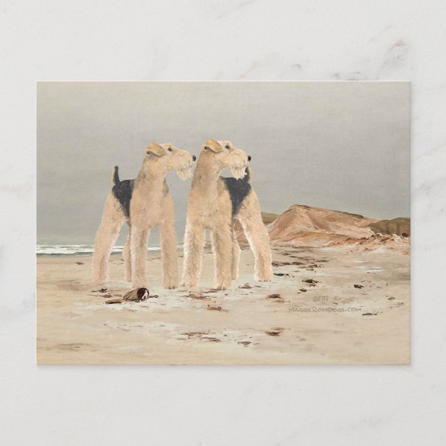 Carte Postale Bord de mer brumeux (Devant)