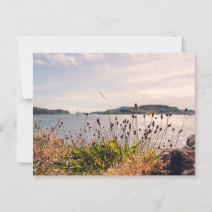 Carte Postale Bord de mer d'Oban