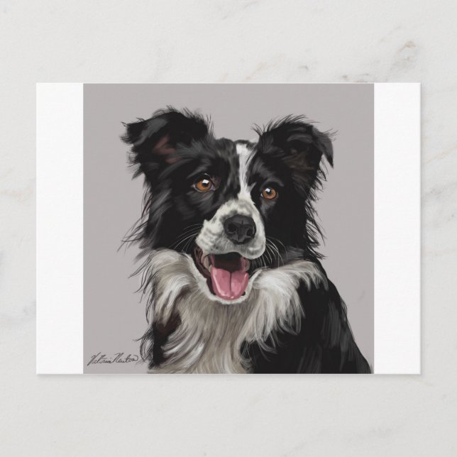 Carte Postale Border collie (Devant)