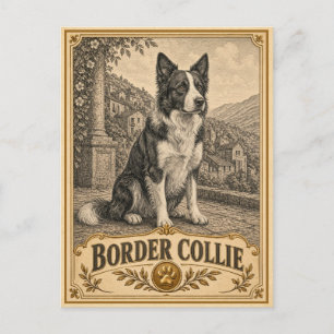 Carte Postale Border Collie, Chien de Patrimoine Vintage