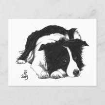 Carte postale Border Collie Doggust 2019