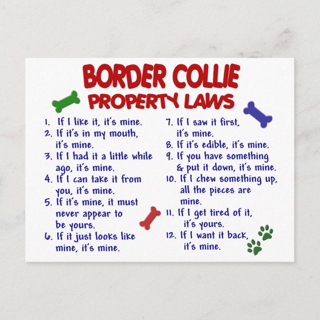 Carte Postale BORDER COLLIE Propriété Lois 2 (Devant)
