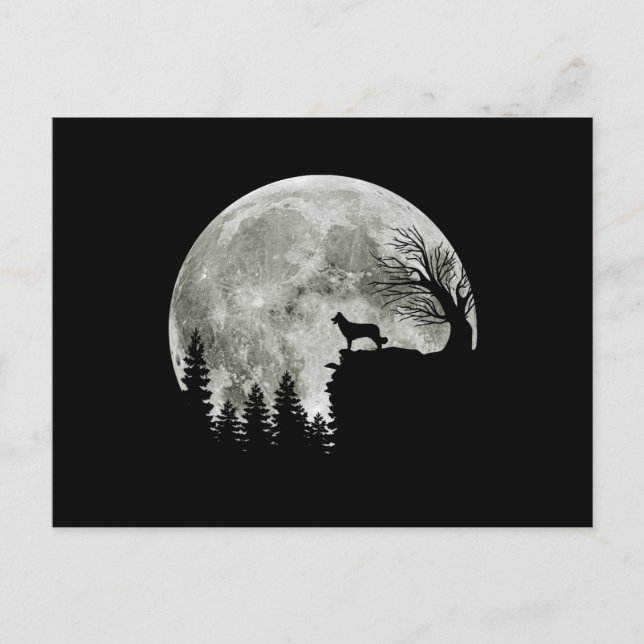 Carte Postale Border Collie silhouette On Mountain Halloween Dog (Devant)