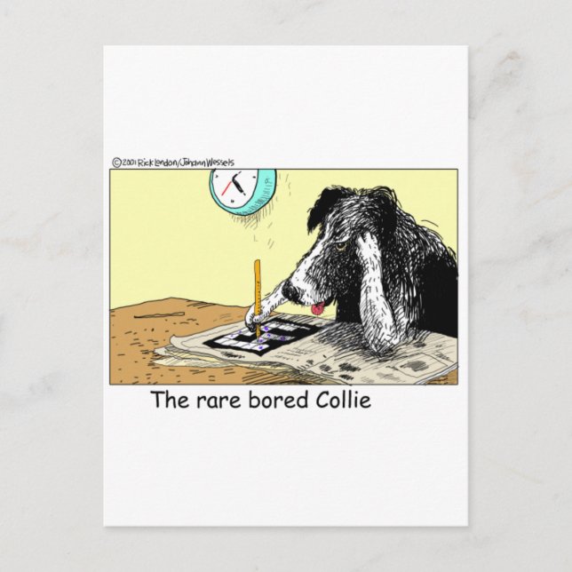 Carte Postale Bordure Bored Collie Drôle Cadeaux Tee - shirts Ob (Devant)