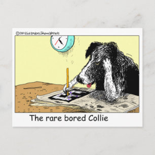 Carte Postale Bordure Bored Collie Drôle Cadeaux Tee - shirts Ob