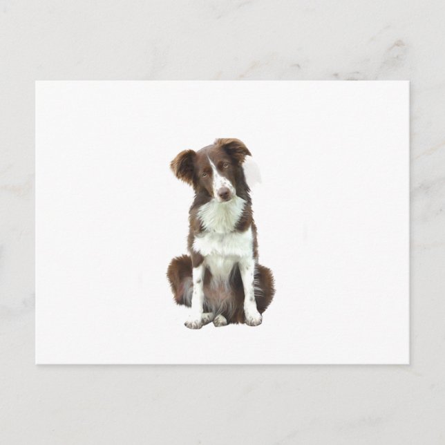 Carte Postale Bordure Collie (B) - brun et blanc (Devant)