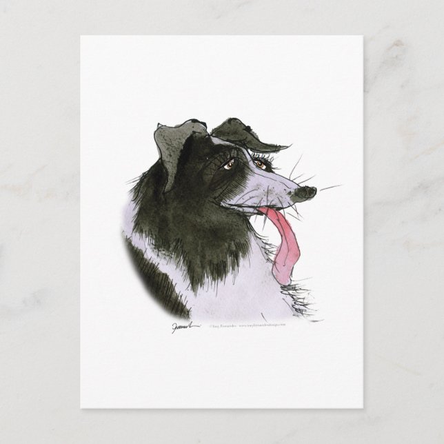 Carte Postale Bordure Collie chien, tony fernandes (Devant)