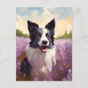 Carte Postale Bordure Collie dans le champ Lavender