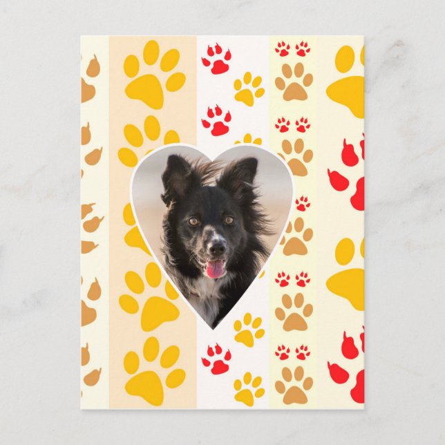 Carte Postale Bordure Collie Empreinte de patte Amour Coeur (Devant)