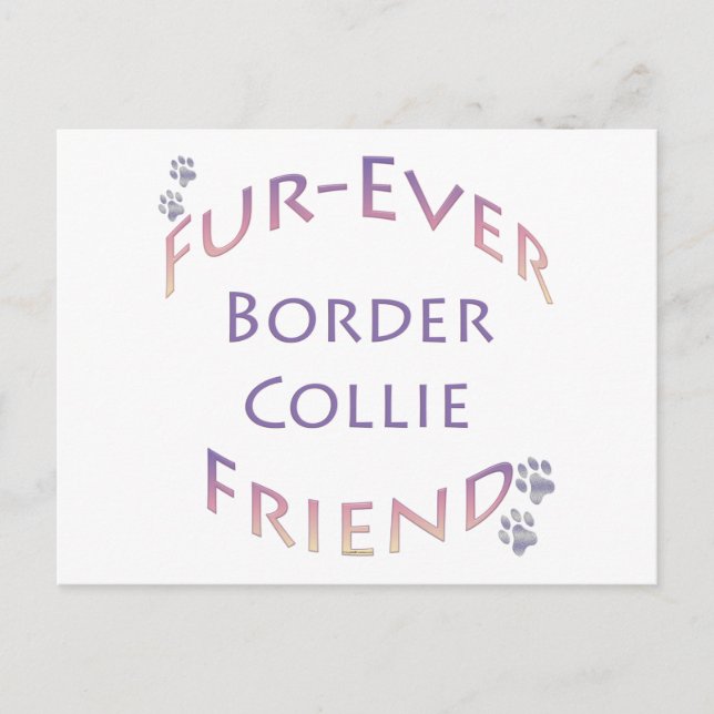 Carte Postale Bordure Collie Furever (Devant)