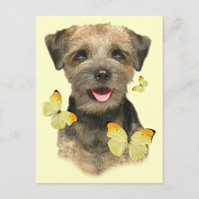 Carte Postale Bordure du papillon Terrier (Devant)