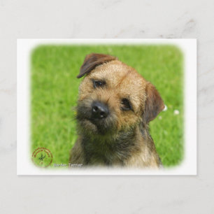 Carte Postale Bordure Terrier 9W009D-127