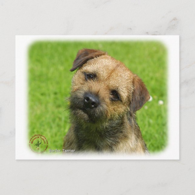 Carte Postale Bordure Terrier 9W009D-127 (Devant)