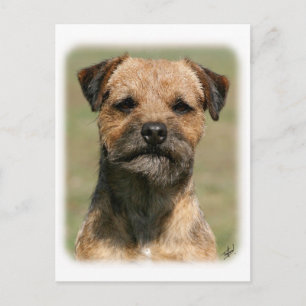 Carte Postale Bordure Terrier 9Y325D-038