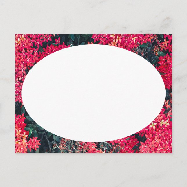 Carte Postale Bordures de composition de collage de motifs botan (Devant)
