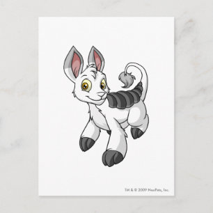 Carte Postale Bori Blanc