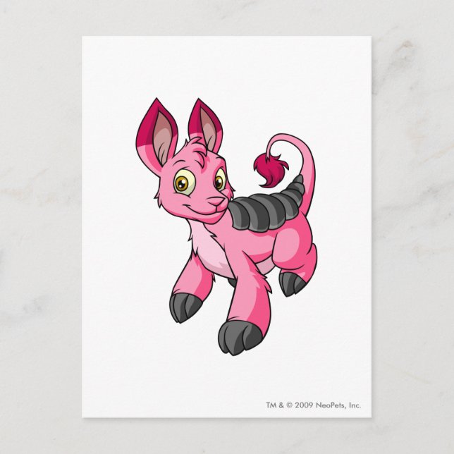 Carte Postale Bori Pink (Devant)