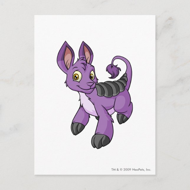 Carte Postale Bori Purple (Devant)