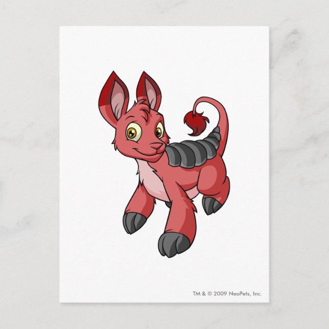 Carte Postale Bori Red (Devant)