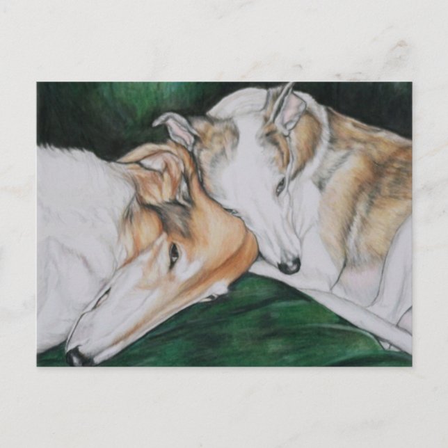 Carte postale Boroi et Whippet Dlog Art (Devant)